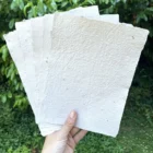 Lot 5 feuilles blanches - 17 x 23 cm