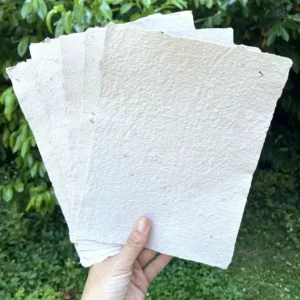 Lot 5 feuilles blanches - 17 x 23 cm