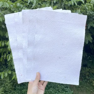Lot 5 feuilles blanches - A4 - 21 x 29,7 cm